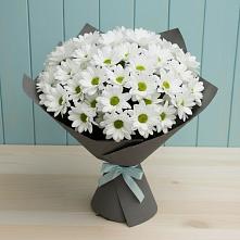 Букет цветов из:  Хризантемы #REPLACE_PRED# Русской Гвоздевке