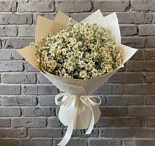Букет цветов из:  Ромашки #REPLACE_PRED# Русской Гвоздевке