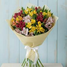 Букет цветов из:  Альстромерии в Русской Гвоздевке