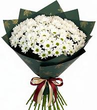 Букет цветов из:  Хризантемы в Русской Гвоздевке