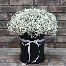 Цветочная композиция из Гипсофила в шляпной коробке в Русской Гвоздевке