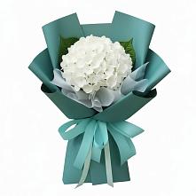 Букет цветов из:  Гортензия #REPLACE_PRED# Русской Гвоздевке